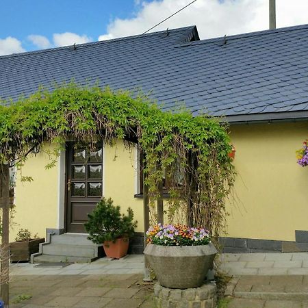 Ferienhaus Riedl Klingenthal Exterior foto