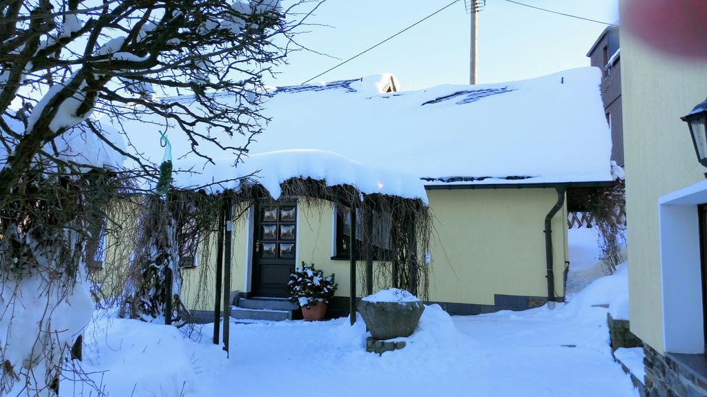 Ferienhaus Riedl Klingenthal Exterior foto